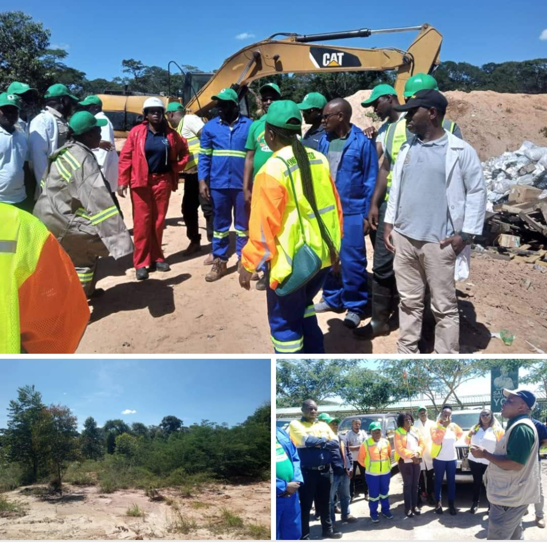 First Quantum Minerals Takes Environmental Action: Plants 11,000 Trees to Reclaim Mine Dump Sites