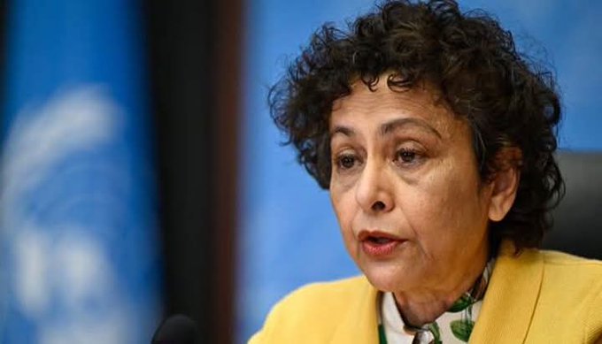 Freedom of Expression More Enhanced Under UPND than PF — UN Special Rapporteur