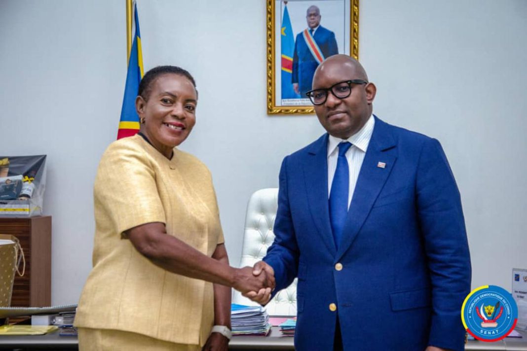 Great Lakes Region Concerned About Insecurities in Eastern DRC — Nelly Mutti